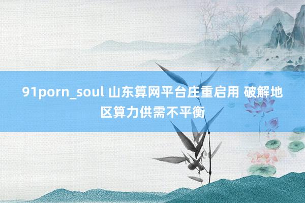 91porn_soul 山东算网平台庄重启用 破解地区算力供需不平衡