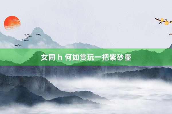 女同 h 何如赏玩一把紫砂壶
