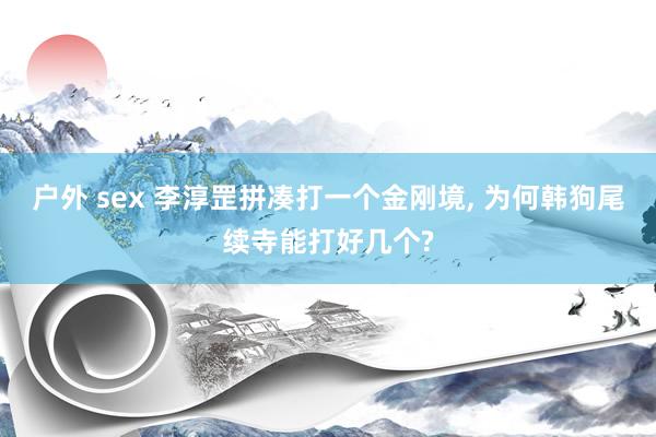 户外 sex 李淳罡拼凑打一个金刚境， 为何韩狗尾续寺能打好几个?